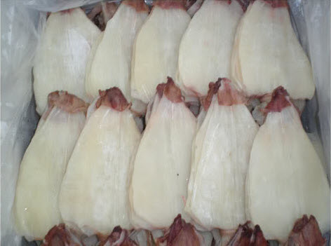 Mực một nắng ngon chất lượng