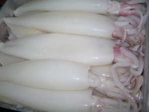 Mực sống ngon chất lượng